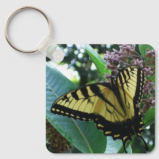 Swallowtail Butterfly I op Milkweed bij Shenandoah Sleutelhanger (Voorkant)