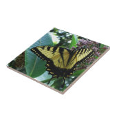 Swallowtail Butterfly I op Milkweed bij Shenandoah Tegeltje (Zijkant)