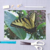 Swallowtail Butterfly I op Milkweed bij Shenandoah Tissuepapier (Craft)