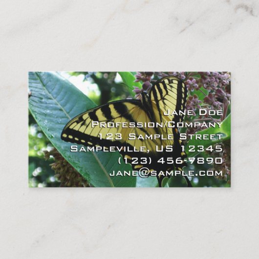 Swallowtail Butterfly I op Milkweed bij Shenandoah Visitekaartje (Voorkant)