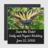 Swallowtail Butterfly II at Shenandoah (Voorkant / Achterkant)