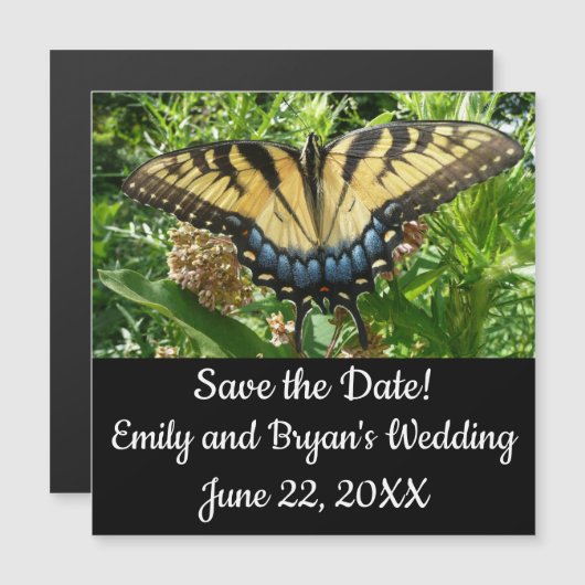 Swallowtail Butterfly II at Shenandoah (Voorkant / Achterkant)