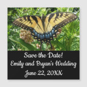 Swallowtail Butterfly II at Shenandoah (Voorkant)