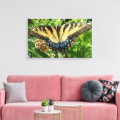 Swallowtail Butterfly II bij Shenandoah Canvas Afdruk (Insitu (Woonkamer))
