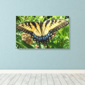 Swallowtail Butterfly II bij Shenandoah Canvas Afdruk (Insitu (Houten vloer))