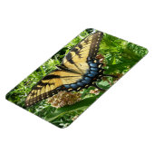 Swallowtail Butterfly II bij Shenandoah Magneet (Linkerzijde)