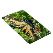 Swallowtail Butterfly II bij Shenandoah Magneet (Rechterzijde)