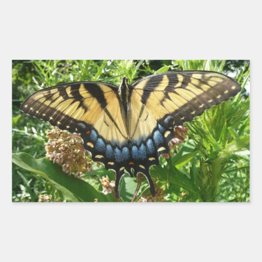 Swallowtail Butterfly II bij Shenandoah Rechthoekige Sticker (Voorkant)