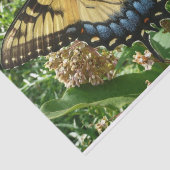 Swallowtail Butterfly II bij Shenandoah Tissuepapier (Detail)