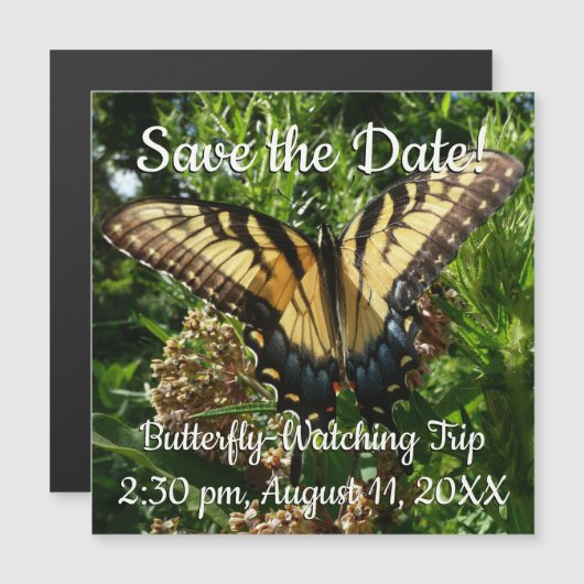 Swallowtail Butterfly III Mooie, kleurrijke foto (Voorkant / Achterkant)