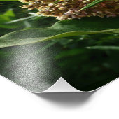 Swallowtail Butterfly III Mooie, kleurrijke foto Afdruk (Hoek)