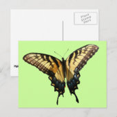Swallowtail Butterfly III Mooie, kleurrijke foto Briefkaart (Voorkant / Achterkant)
