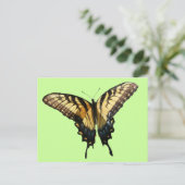Swallowtail Butterfly III Mooie, kleurrijke foto Briefkaart (Staand voorkant)