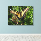Swallowtail Butterfly III Mooie, kleurrijke foto Canvas Afdruk (Insitu (Houten vloer))
