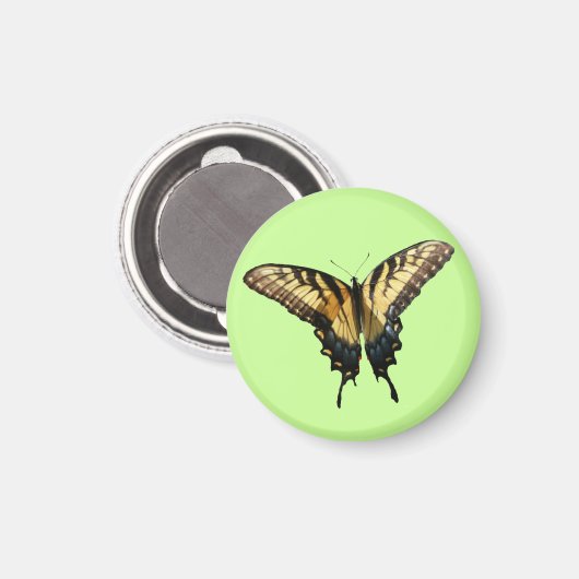 Swallowtail Butterfly III Mooie, kleurrijke foto Magneet (Voorkant / Achterkant)