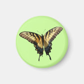 Swallowtail Butterfly III Mooie, kleurrijke foto Magneet (Voorkant)