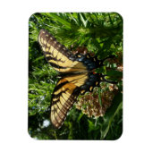 Swallowtail Butterfly III Mooie, kleurrijke foto Magneet (Verticaal)