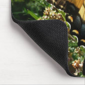 Swallowtail Butterfly III Mooie, kleurrijke foto Muismat (Hoek)