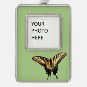Swallowtail Butterfly III Mooie, kleurrijke foto Verzilverd Omlijst Ornament