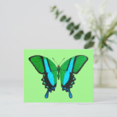 Swallowtail Butterfly in Green, Turquoise & Black Briefkaart (Staand voorkant)