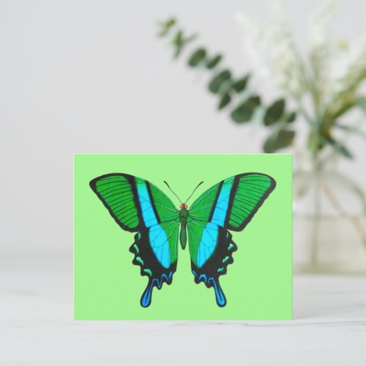 Swallowtail Butterfly in Green, Turquoise & Black Briefkaart (Staand voorkant)