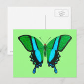 Swallowtail Butterfly in Green, Turquoise & Black Briefkaart (Voorkant / Achterkant)