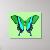 Swallowtail Butterfly in Green, Turquoise & Black Canvas Afdruk (Voorkant)