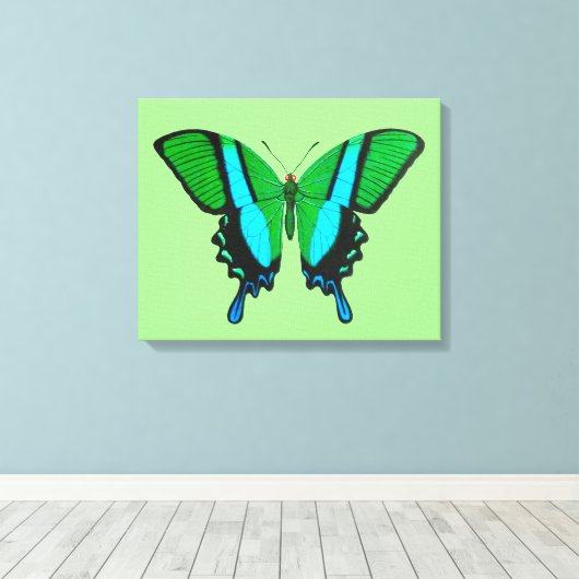 Swallowtail Butterfly in Green, Turquoise & Black Canvas Afdruk (Insitu (Houten vloer))