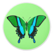 Swallowtail Butterfly in Green, Turquoise & Black Keramische Knop (Voorkant)