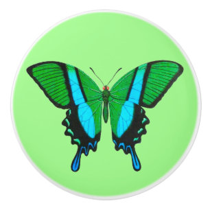 Swallowtail Butterfly in Green, Turquoise & Black Keramische Knop