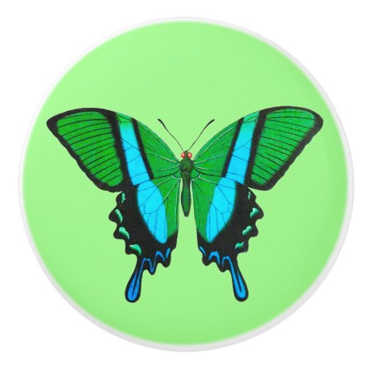 Swallowtail Butterfly in Green, Turquoise & Black Keramische Knop (Voorkant)