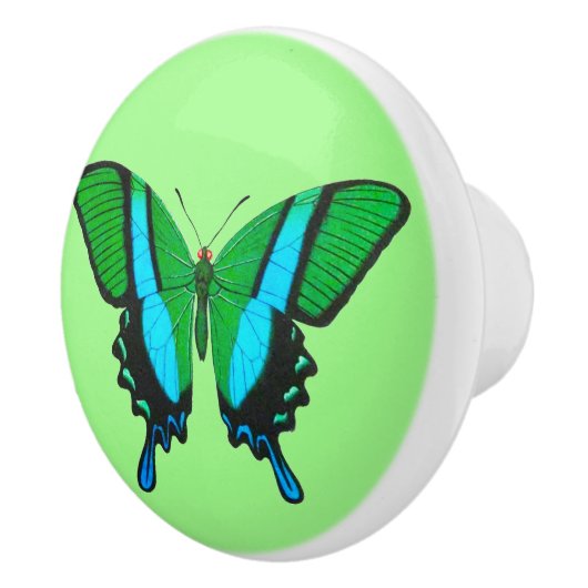 Swallowtail Butterfly in Green, Turquoise & Black Keramische Knop (Rechts)