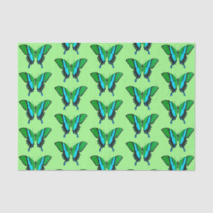 Swallowtail Butterfly in Green, Turquoise & Black Tissuepapier