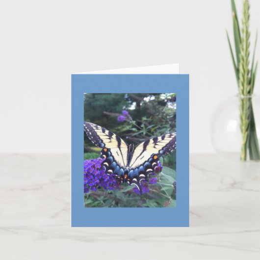 Swallowtail Butterfly Kaart 2 (Voorkant)