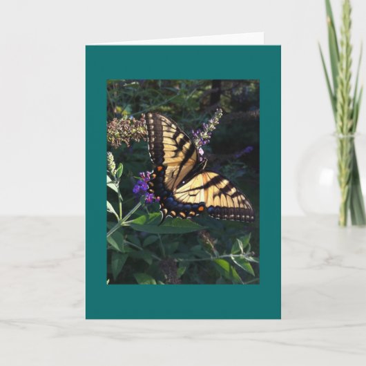 Swallowtail Butterfly-kaart Kaart (Voorkant)