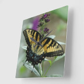 Swallowtail Butterfly-klok Vierkante Klok (Hoek)