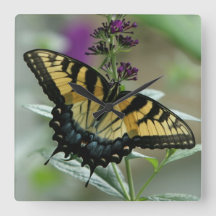 Swallowtail Butterfly-klok