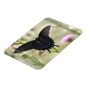 Swallowtail Butterfly Magneet (Linkerzijde)