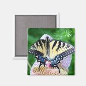 Swallowtail Butterfly Magneet (Voorkant / Achterkant)
