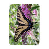 Swallowtail Butterfly Magnet Magneet (Verticaal)