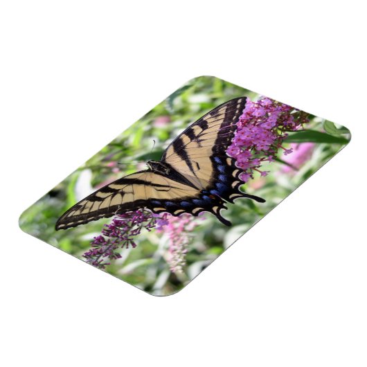 Swallowtail Butterfly Magnet Magneet (Linkerzijde)