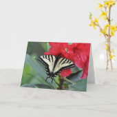 Swallowtail Butterfly met Wings Open Kaart (Gele Bloem)