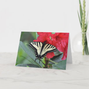 Swallowtail Butterfly met Wings Open Kaart