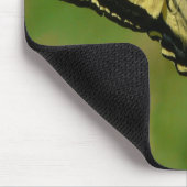 SwallowTail Butterfly op Blackberry Blossom Muismat (Hoek)