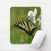 SwallowTail Butterfly op Blackberry Blossom Muismat (Met muis)