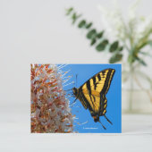 Swallowtail Butterfly op Buckeye Flower Briefkaart (Staand voorkant)