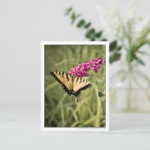 Swallowtail Butterfly op Butterfly Struik Foto Briefkaart (Staand voorkant)