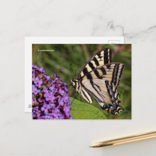 Swallowtail Butterfly op de Butterfly Struik Briefkaart