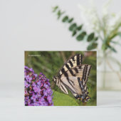Swallowtail Butterfly op de Butterfly Struik Briefkaart (Staand voorkant)