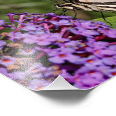 Swallowtail Butterfly op de Butterfly Struik Foto Afdruk (Hoek)